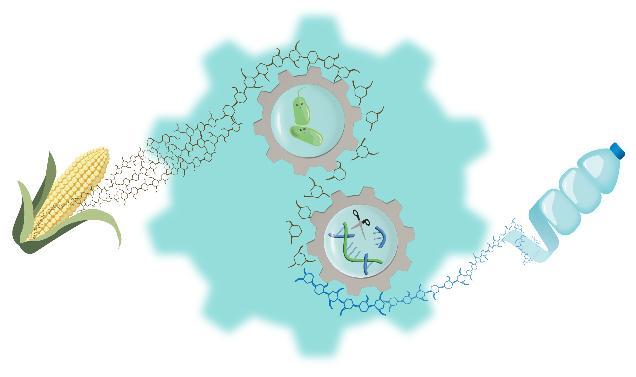 Lignin Bioconversion Schematic